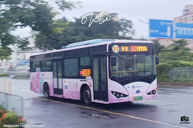粤B 04306D