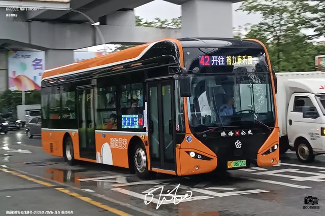 粤C 08733D