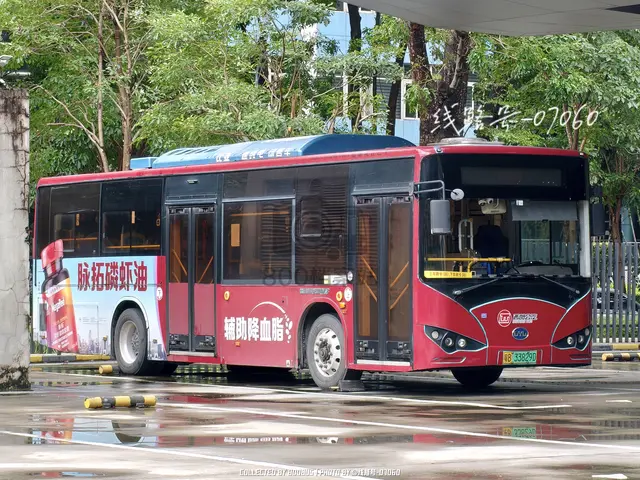 粤B 33829D