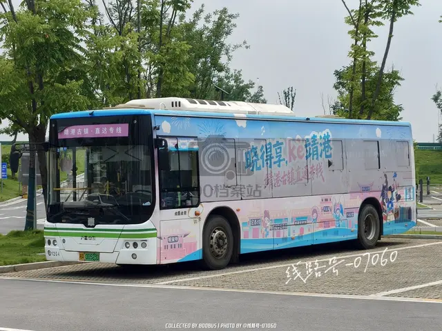 湘A 00523D