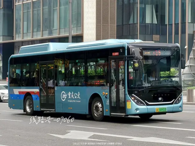 渝A 00953D