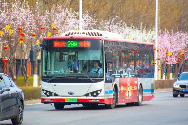 冀H0891D