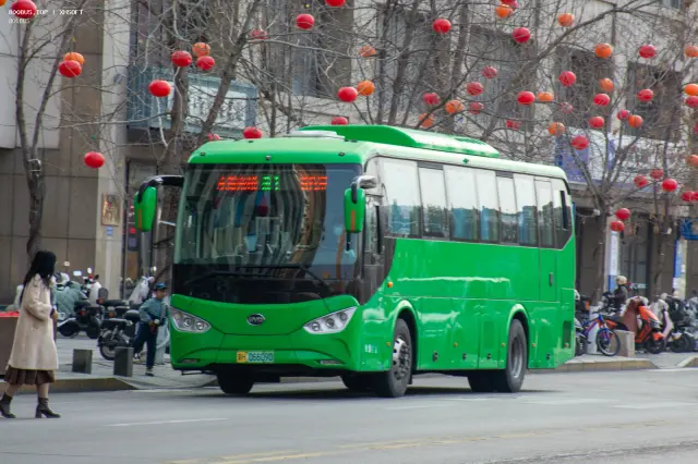 冀H 06609D