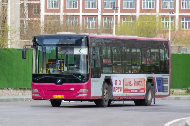 800BUS