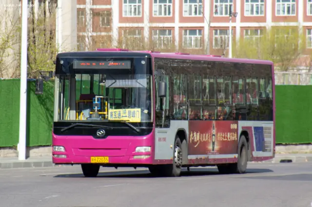 800BUS