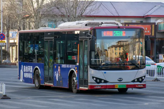 800BUS
