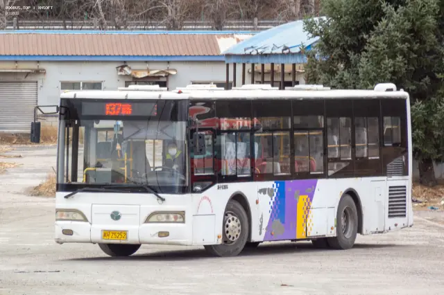 冀H Z5252