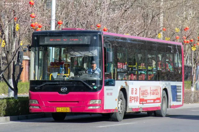 800BUS