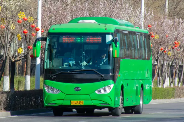 800BUS