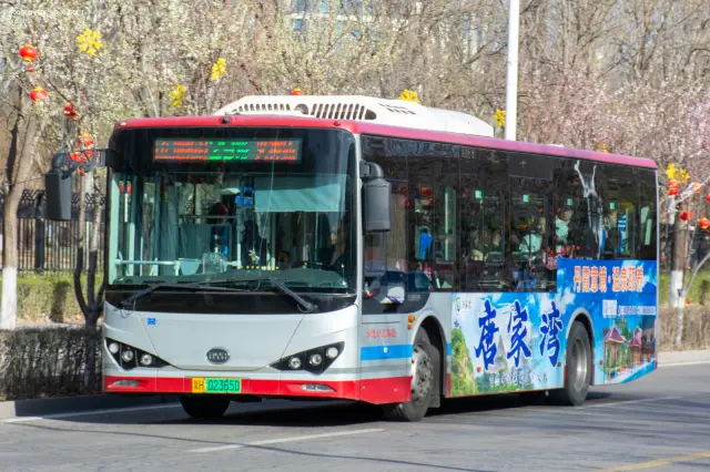 800BUS