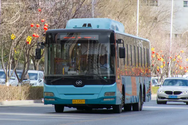 800BUS