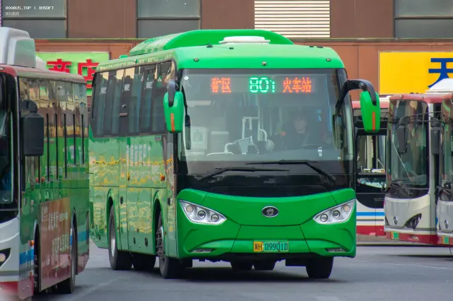 冀H 09901D