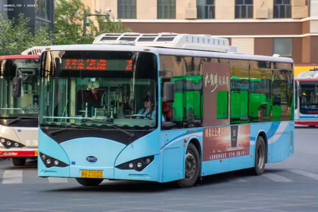 800BUS