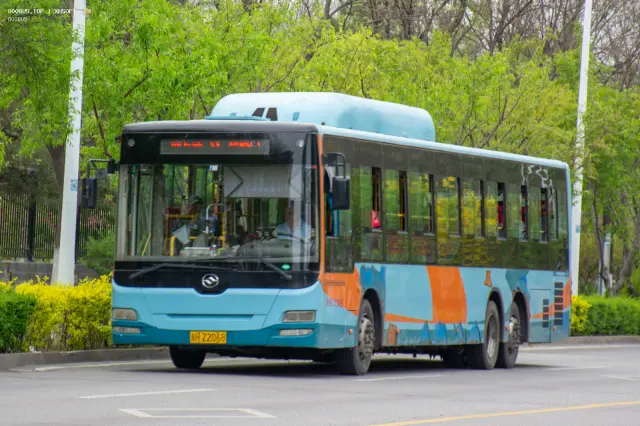 800BUS