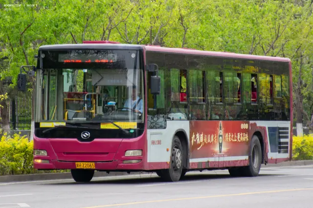 800BUS
