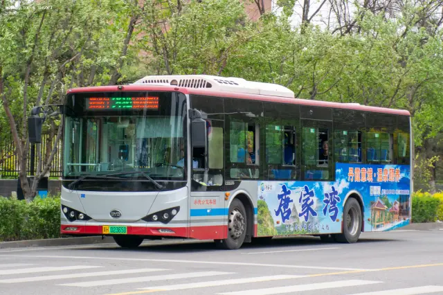 800BUS