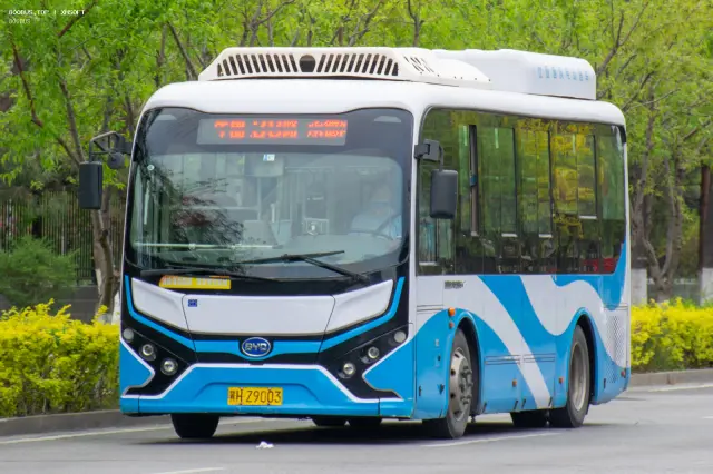 800BUS