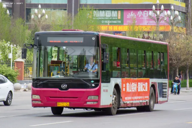 800BUS