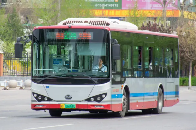 800BUS