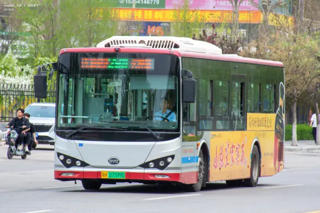 800BUS