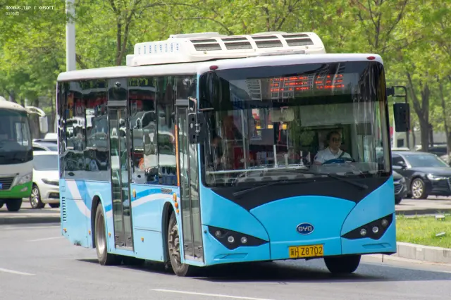800BUS