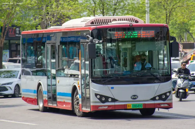 800BUS