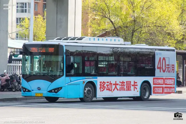 800BUS