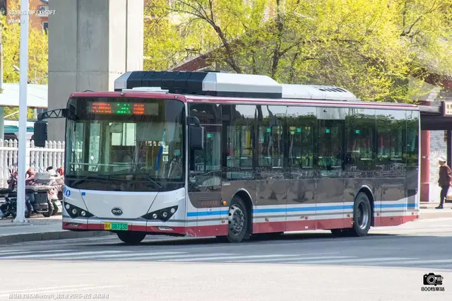 800BUS