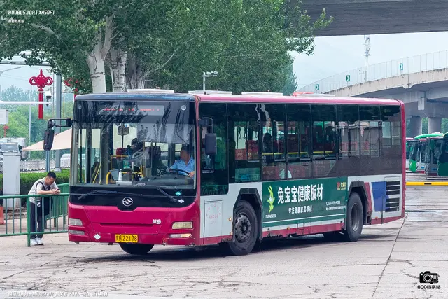 800BUS