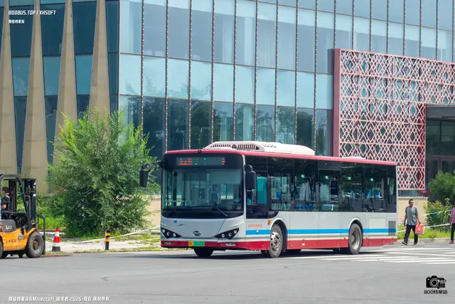 冀H 00533D
