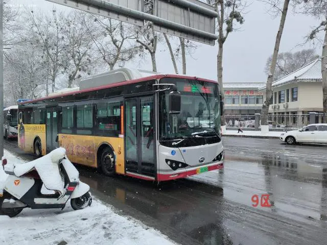 冀H·00284D