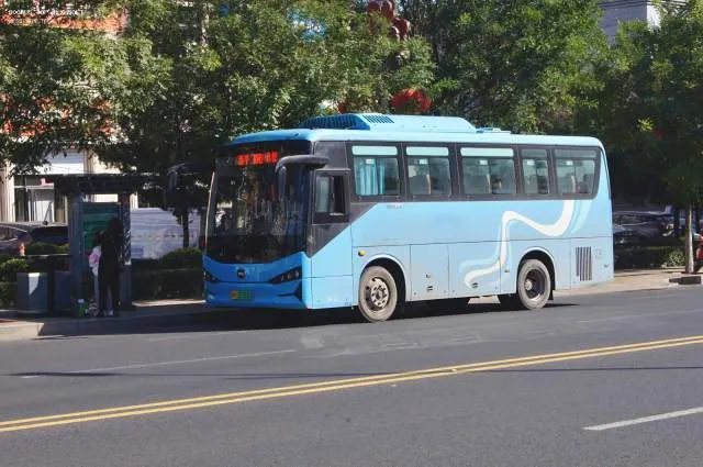 冀H·02369D