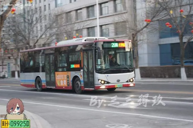 冀H·07020D