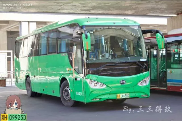 冀H·08160D