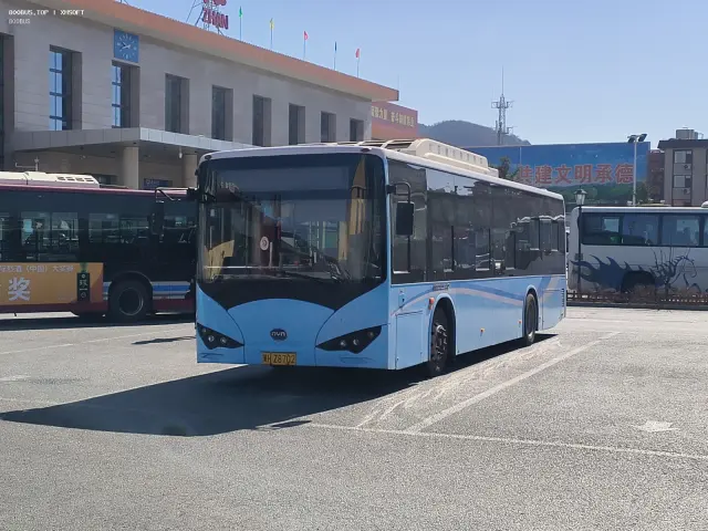 800BUS