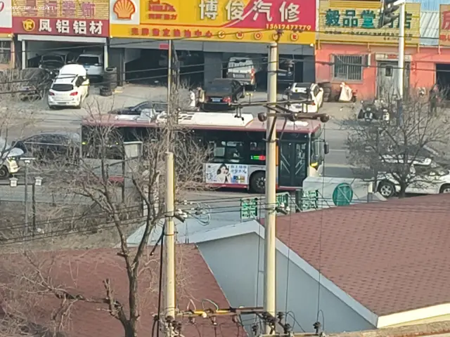 800BUS