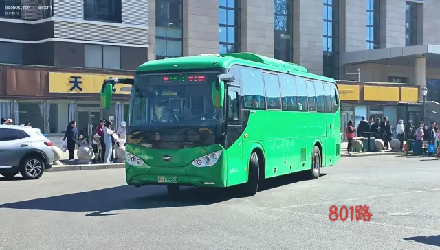 800BUS