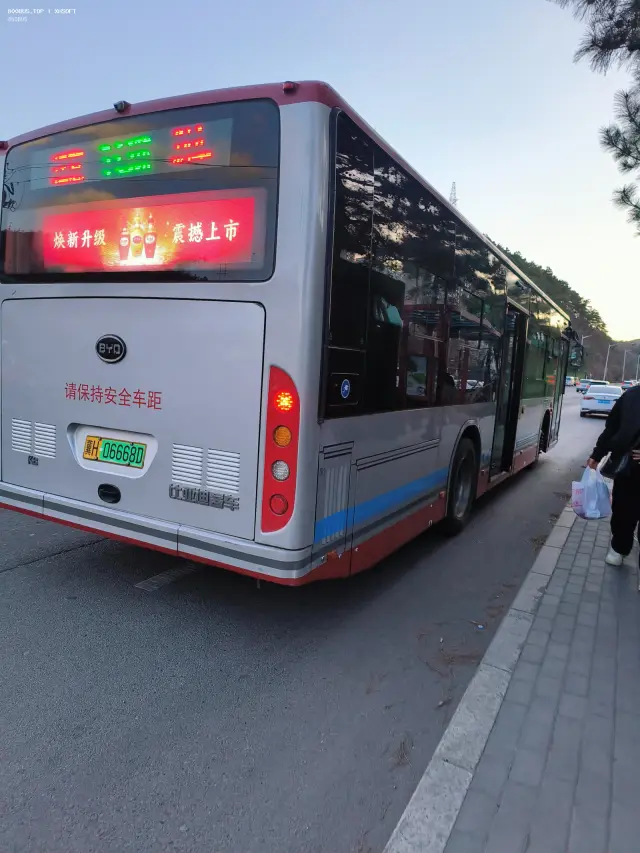 800BUS