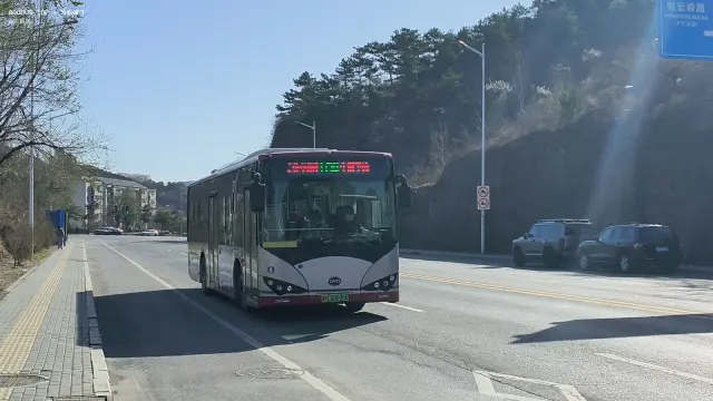 800BUS