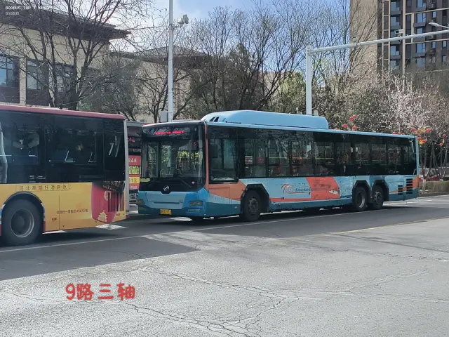 800BUS