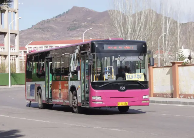 800BUS