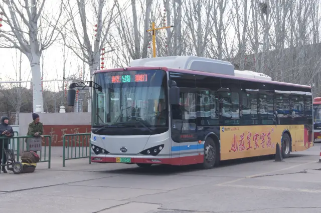 800BUS
