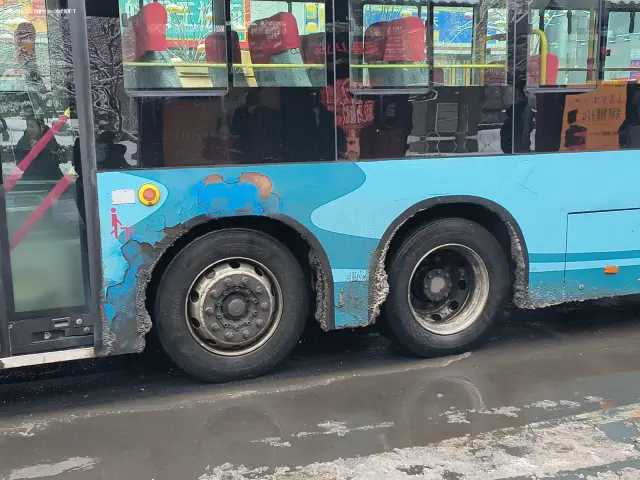 800BUS