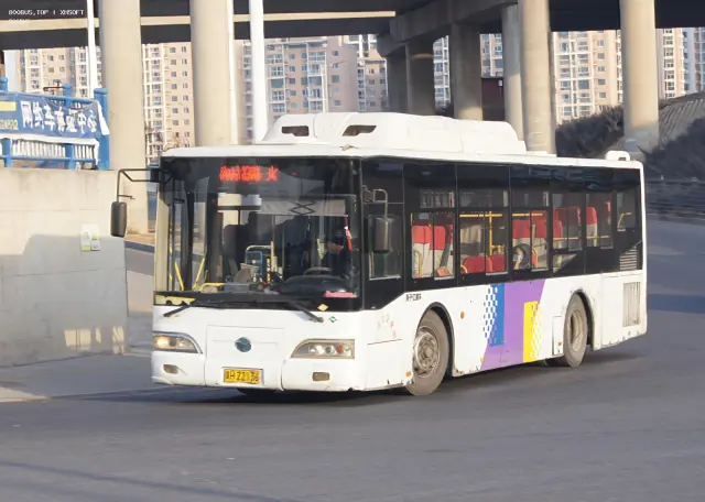 800BUS