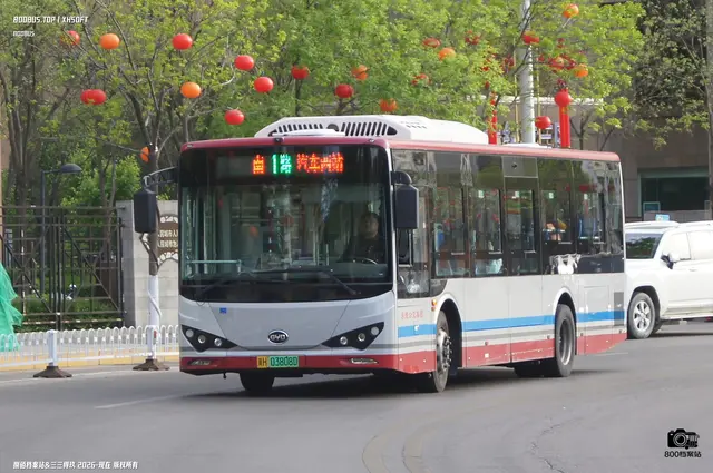 800BUS