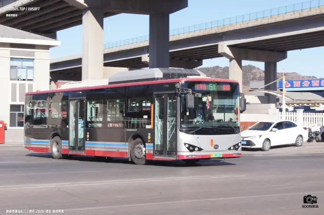 800BUS
