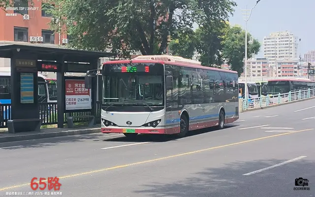800BUS