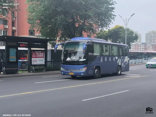 800BUS