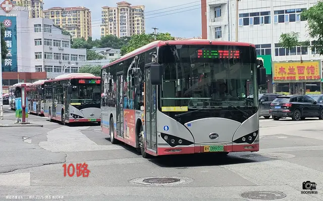 800BUS