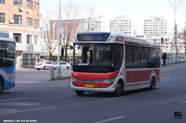 冀D P3888